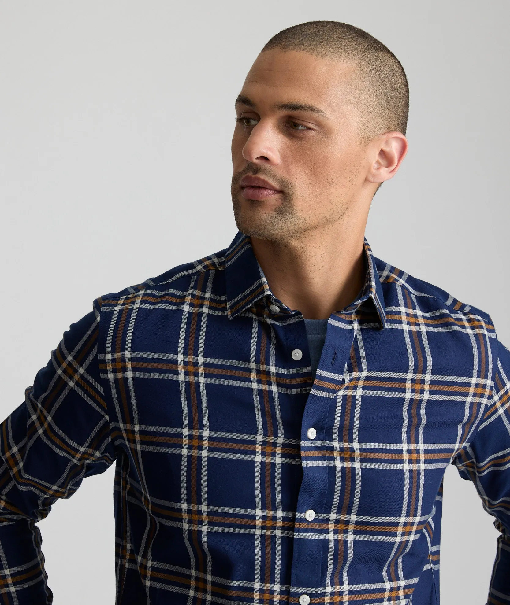 Wrinkle-Free Chiarlo Shirt - FINAL SALE